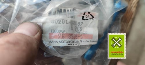 IMG_20230828_104939